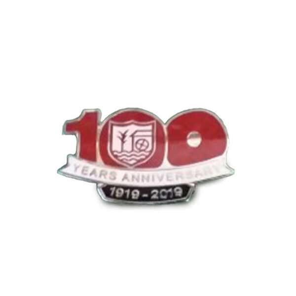 Ballyclare Comrades '100' Centenary Pin Badge